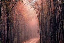 黑白直播-体操总决赛上演强强对话,川蜀霹雳队读秒扳平泰山天虎队,团队配合流畅;目标直指冠军的简单介绍